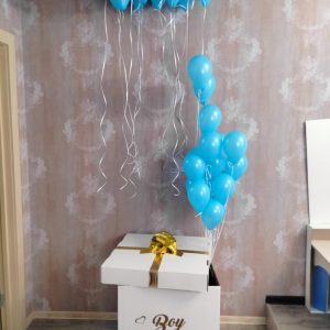 Коробка с шарами №19